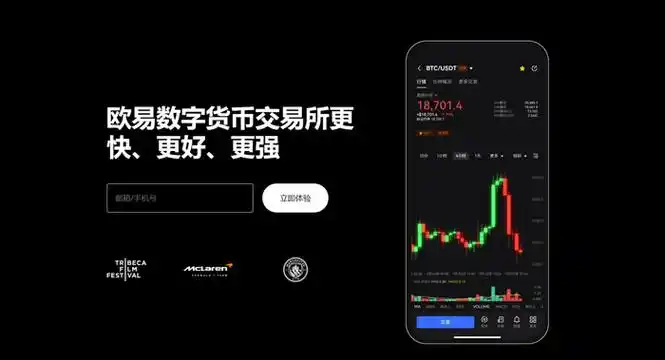 GOpay交易平台平台展示图